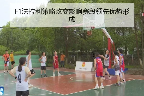 fa-la-li-ce-lve-gai-bian-ying-xiang-sai-duan-ling-xian-you-shi-xing-cheng-2-705.jpg